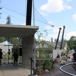 Condors of the Columbia