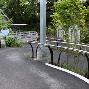 Condors of the Columbia