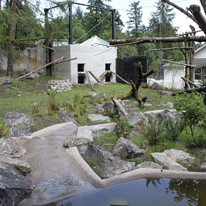Condors of the Columbia