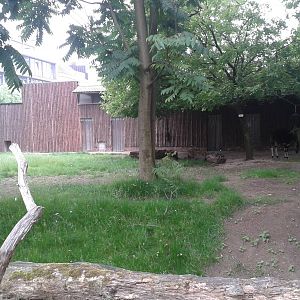 Okapi enclosure