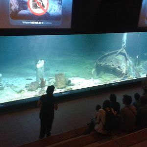 Large panorama aquarium