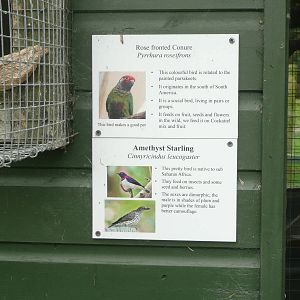 Example of new signs