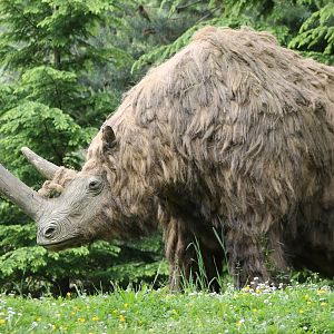 Replica Woolly rhino