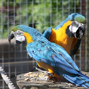 Millie and Monty, 8th June 2014