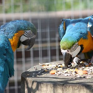 Millie and Monty, 8th June 2014