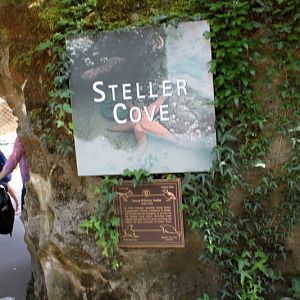 Steller Cove