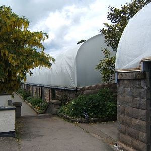 View of re-roofed Reptile House