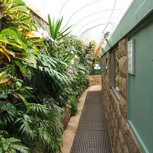 View inside the Reptile House