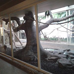 Macaw and currasow aviary