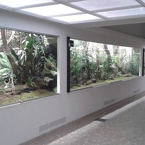 Asian themed aviaries