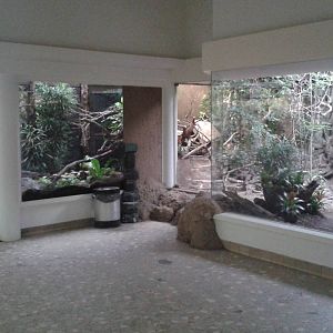 South american aviaries