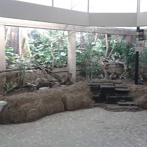 Asia aviary