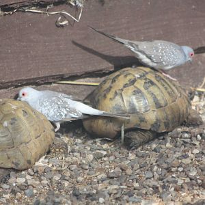 A mixed exhibit, 8th June 2014