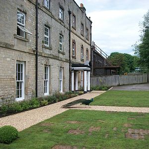 A lovely new look for the area around the Hall, 9th June 2014