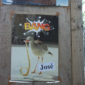 Example of posters on offer at the Bird Show, 9th June 2014