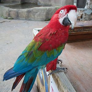 Winston, 9th June 2014