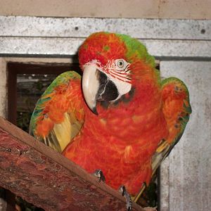 Julian, 9th June 2014