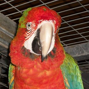 Julian, 9th June 2014