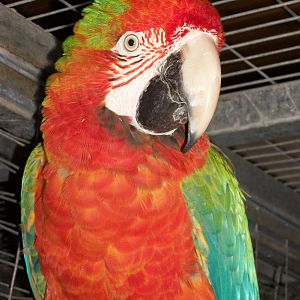 Julian, 9th June 2014