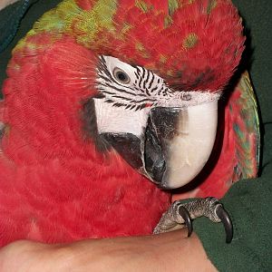 Jacky, 9th June 2014