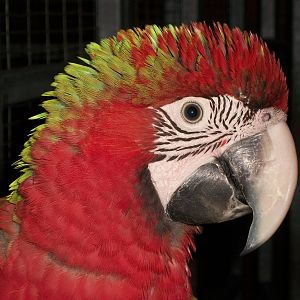 Jacky, 9th June 2014