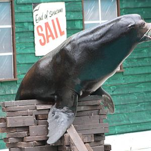 Clive, 9th June 2014