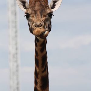 Not as tall as the Cliffhanger, 9th June 2014