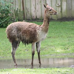 The rainy season in South America, 9th June 2014
