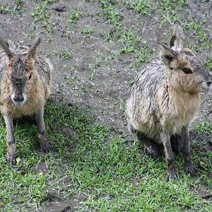 The rainy season in South America, 9th June 2014