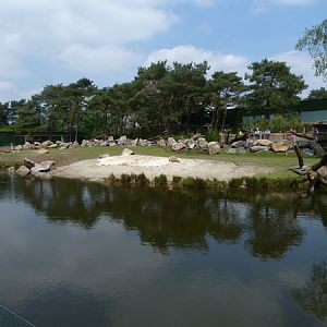 Hippo and antilope enclosure
