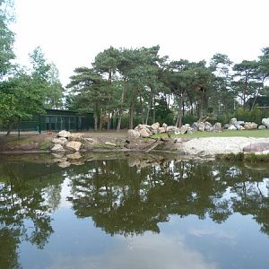 Hippo and antelope enclosure