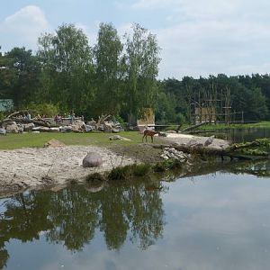 Hippo and antelope enclosure