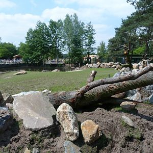 Hippo and antelope enclosure