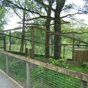 Owl aviary