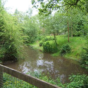View of White Stork enclosure