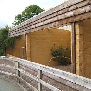 View of Bird of Prey Aviarys