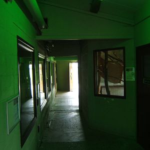 View of Reptile enclosure and Primate indoor housing on left