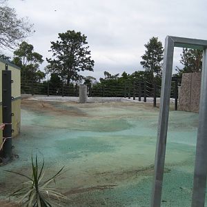 New elephant enclosure