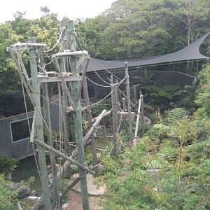 Orang exhibit from the cable-car