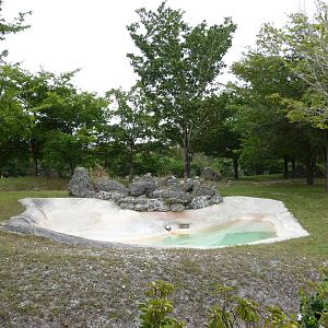 Baird's Tapir Enclosure