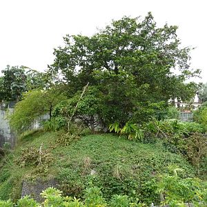 Squirrel Monkey Exhibit