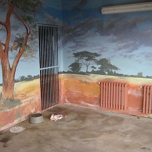 Usti nad Labem Cheetah House Inside