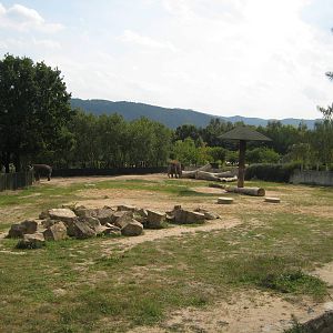 Usti nad Labem Elephant Exhibit