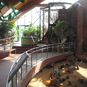 Usti nad Labem Elephnat House Tortoise exhibit and Aviary