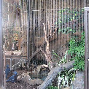 Usti nad Labem Elephant House Crowned Pigons aviary