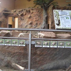 Usti nad Labem Elephant House Totroises Names signs