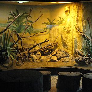 Usti nad Labem Terrarium for iguanas