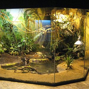 Usti nad Labem Big terrarium