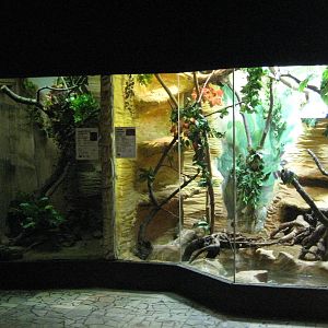 Usti nad Labem terrariums