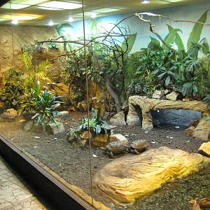 Usti nad Labem Exhibit for Tortoises